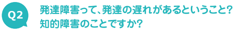 発達障害って、発達の遅れがあるということ？知的障害のことですか？